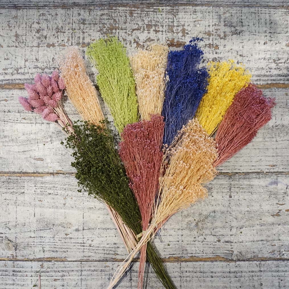 Sale アウトレット数量限定品 ブルーム ファラリス１０束セット ドライフラワー アロマワックスサシェ キャンドル制作用 アウトレット リサイクル ツール パーツ キャンドル材料卸販売キナリ