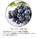 ڥɥѡ񻺡ۥޥ롡֥롼٥꡼/blueberry30ml:100ml