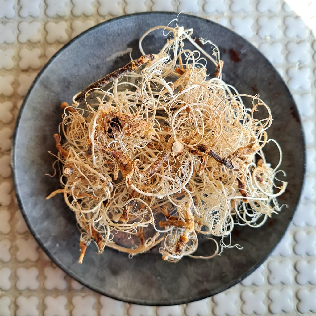 ꡼⥹ڥɥ饤ե ޥåɥѡ