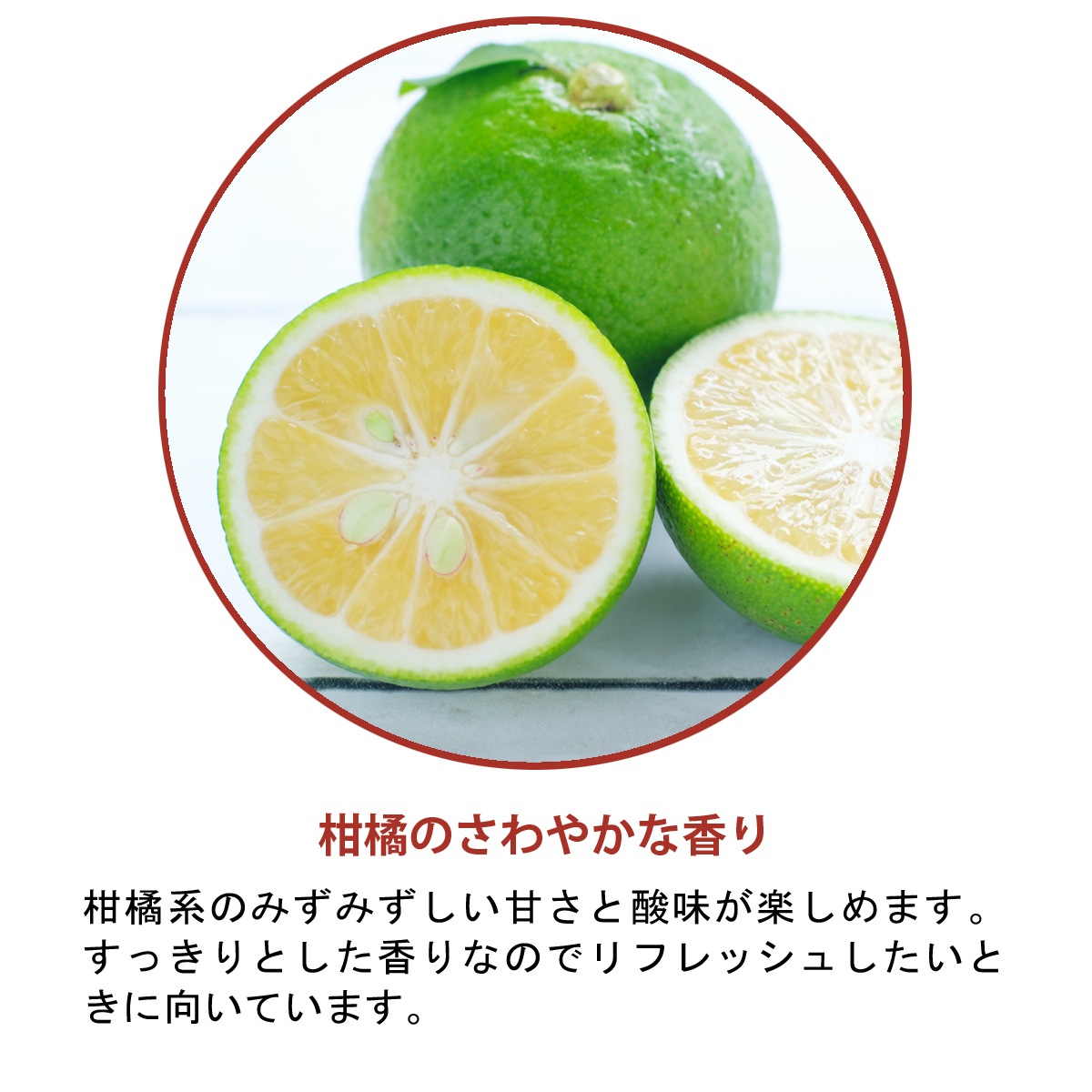 �ڥ����ɥ��ѡ��񻺡ۥ����ޥ����롡���ȥ饹/citrus��30ml:100ml��