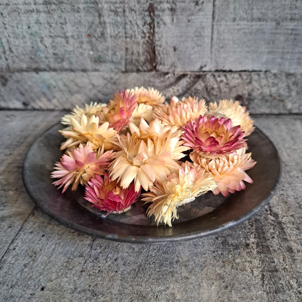 إꥯꥵࡦ֥롼ߥ 4 ڥɥ饤ե ޥåɥѡ