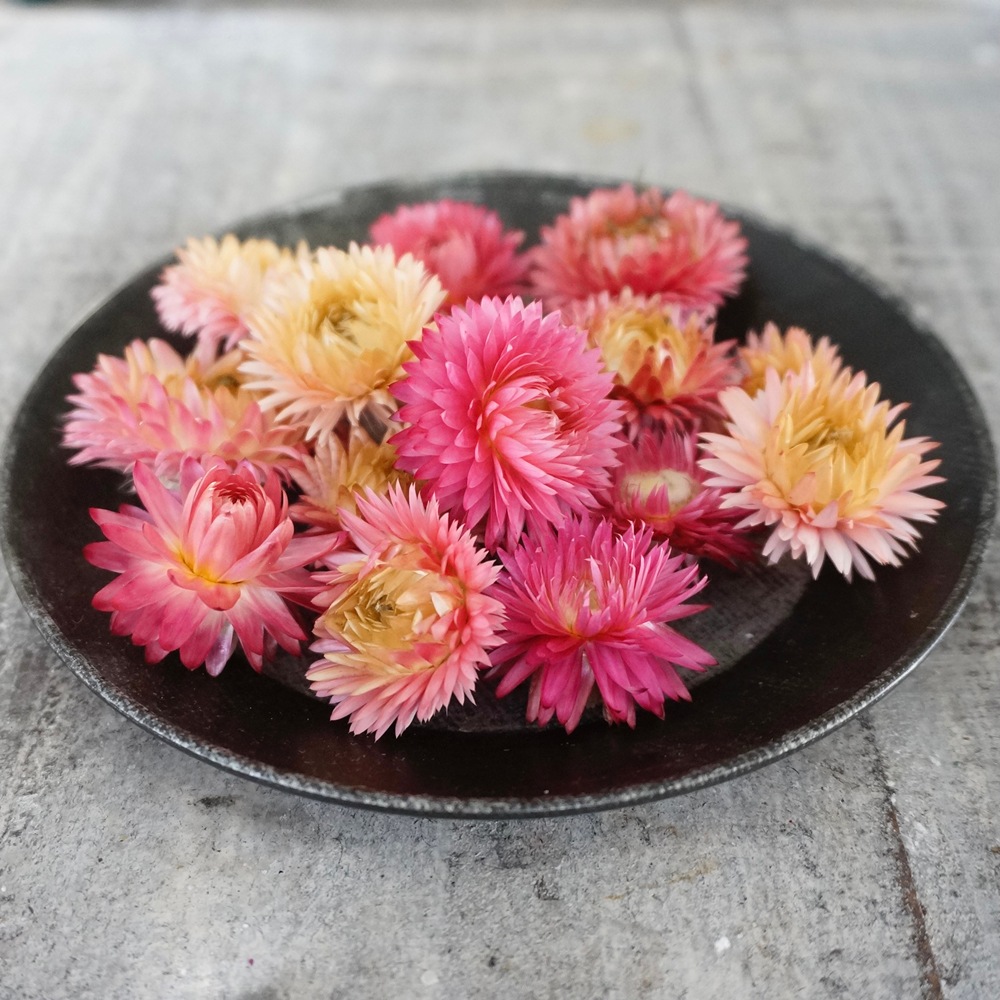 إꥯꥵࡦ֥롼ߥ 4 ڥɥ饤ե ޥåɥѡ