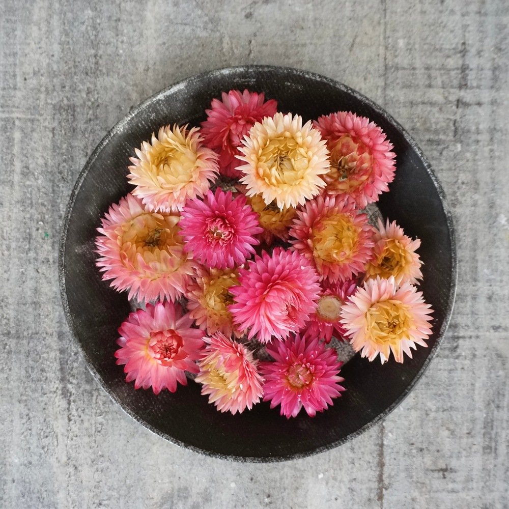 إꥯꥵࡦ֥롼ߥ 4 ڥɥ饤ե ޥåɥѡ