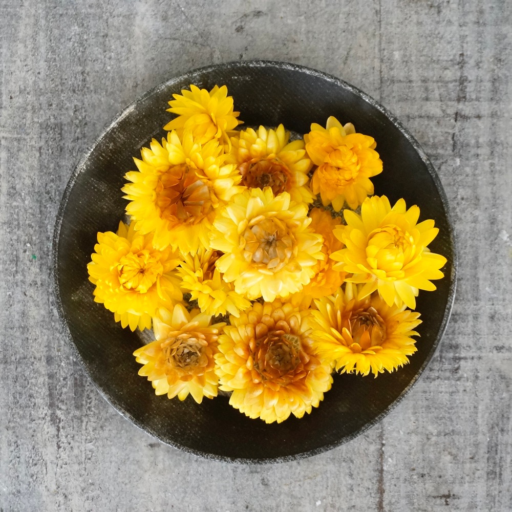 إꥯꥵࡦ֥롼ߥ 4 ڥɥ饤ե ޥåɥѡ