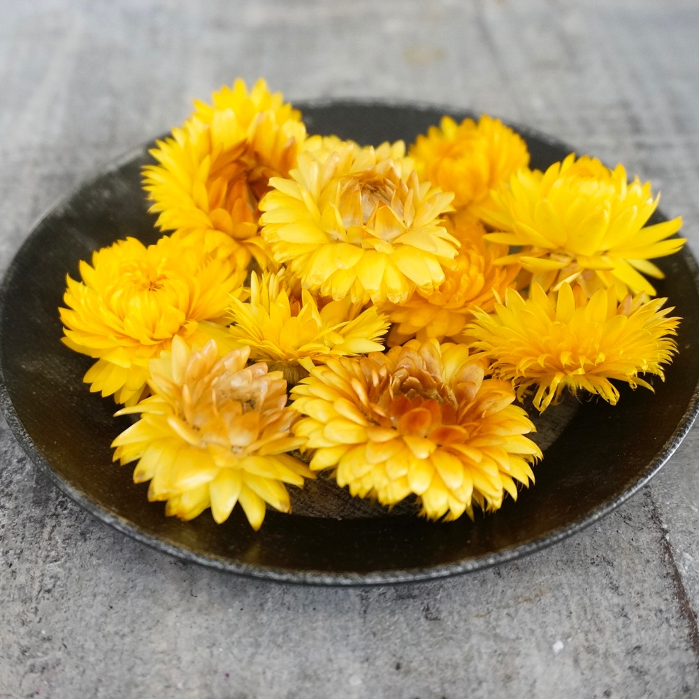 إꥯꥵࡦ֥롼ߥ 4 ڥɥ饤ե ޥåɥѡ