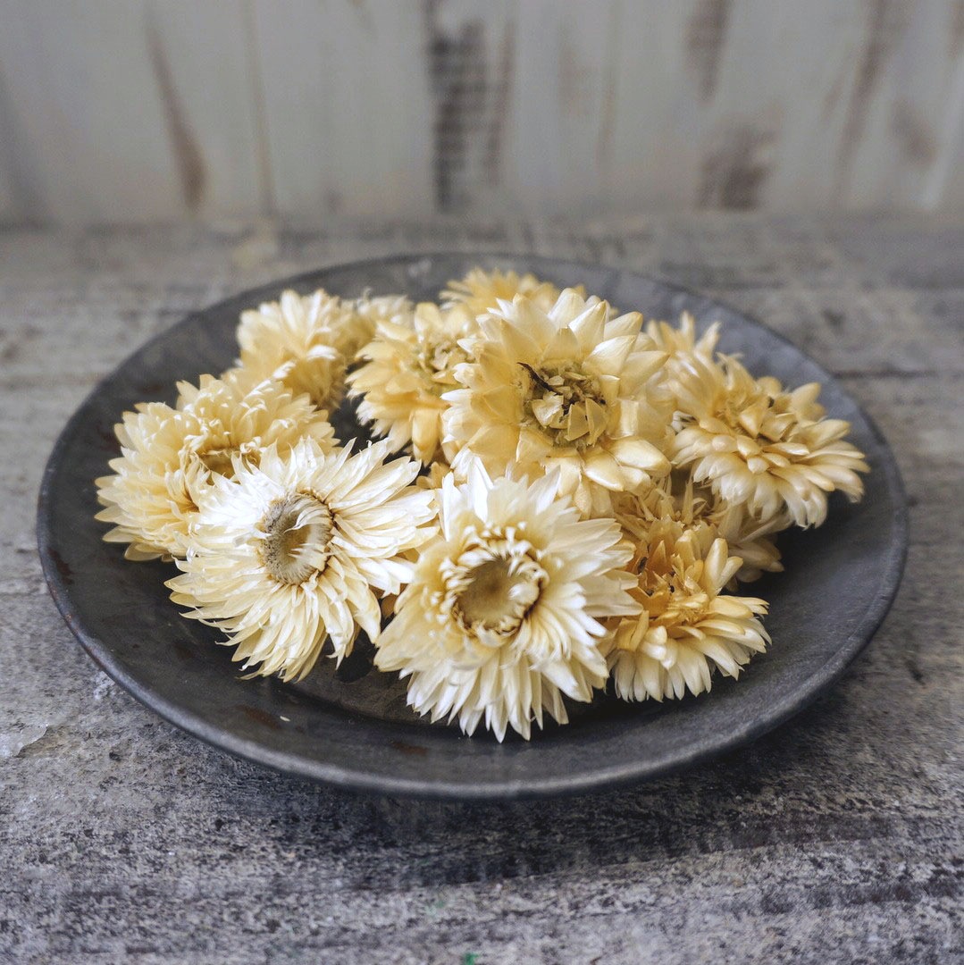 إꥯꥵࡦ֥롼ߥ 4 ڥɥ饤ե ޥåɥѡ