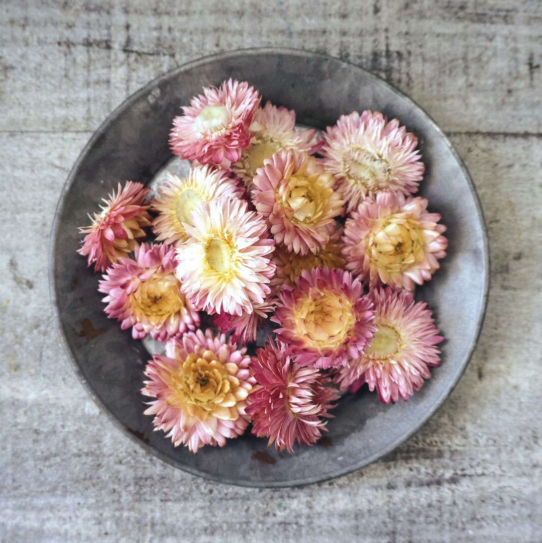 إꥯꥵࡦ֥롼ߥ 4 ڥɥ饤ե ޥåɥѡ