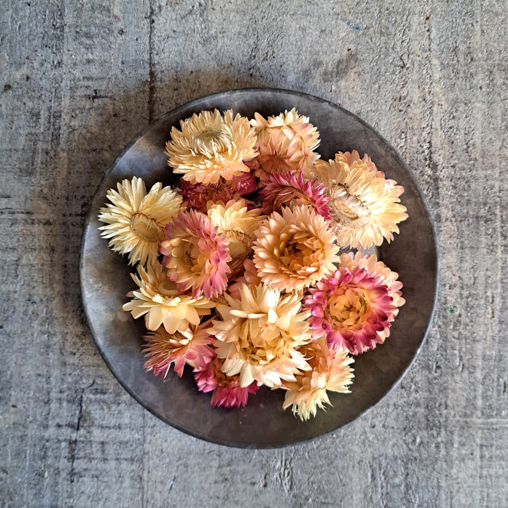 إꥯꥵࡦ֥롼ߥ 4 ڥɥ饤ե ޥåɥѡ