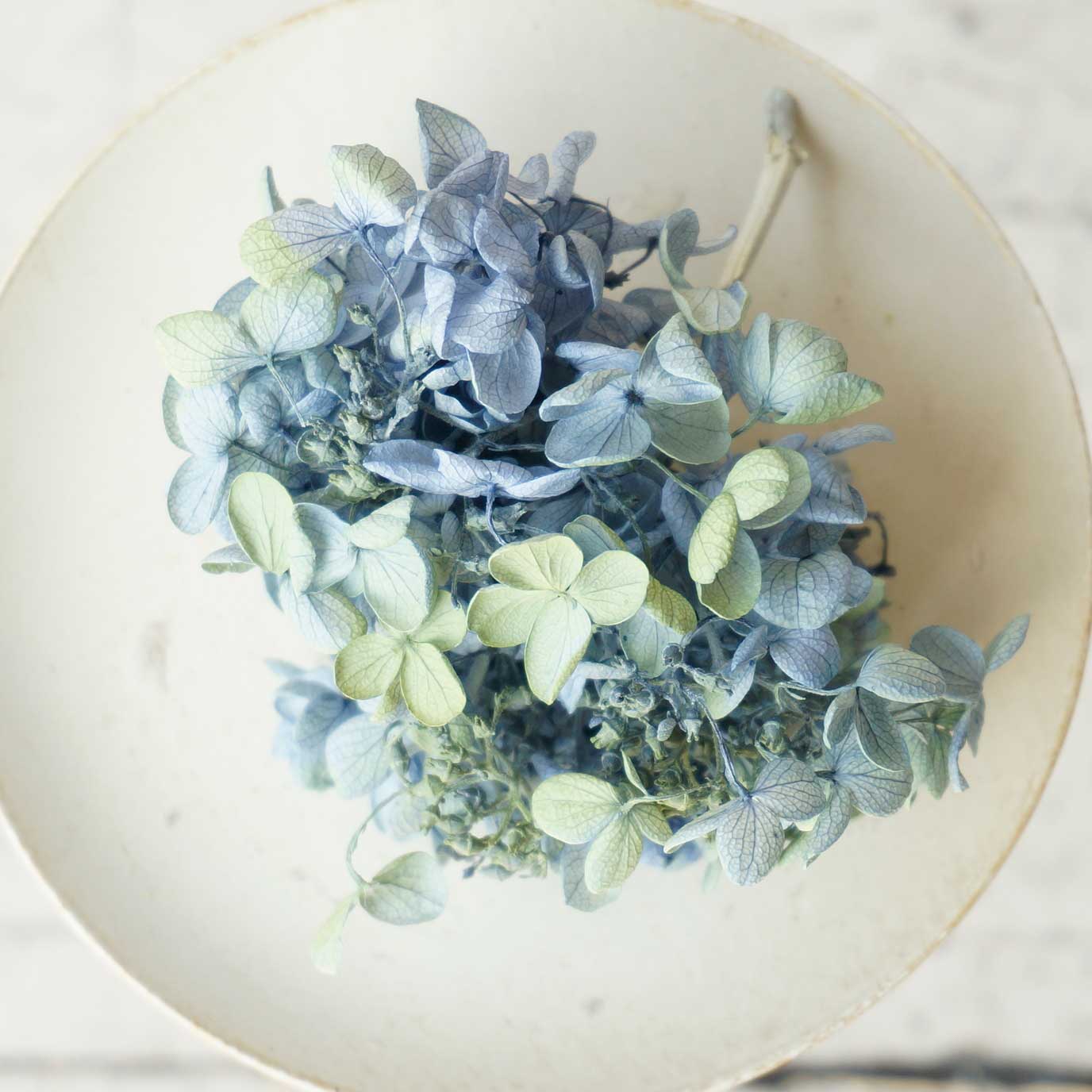 եȥԥߥåɥإåɡ3ڥɥ饤ե ޥåɥѡ