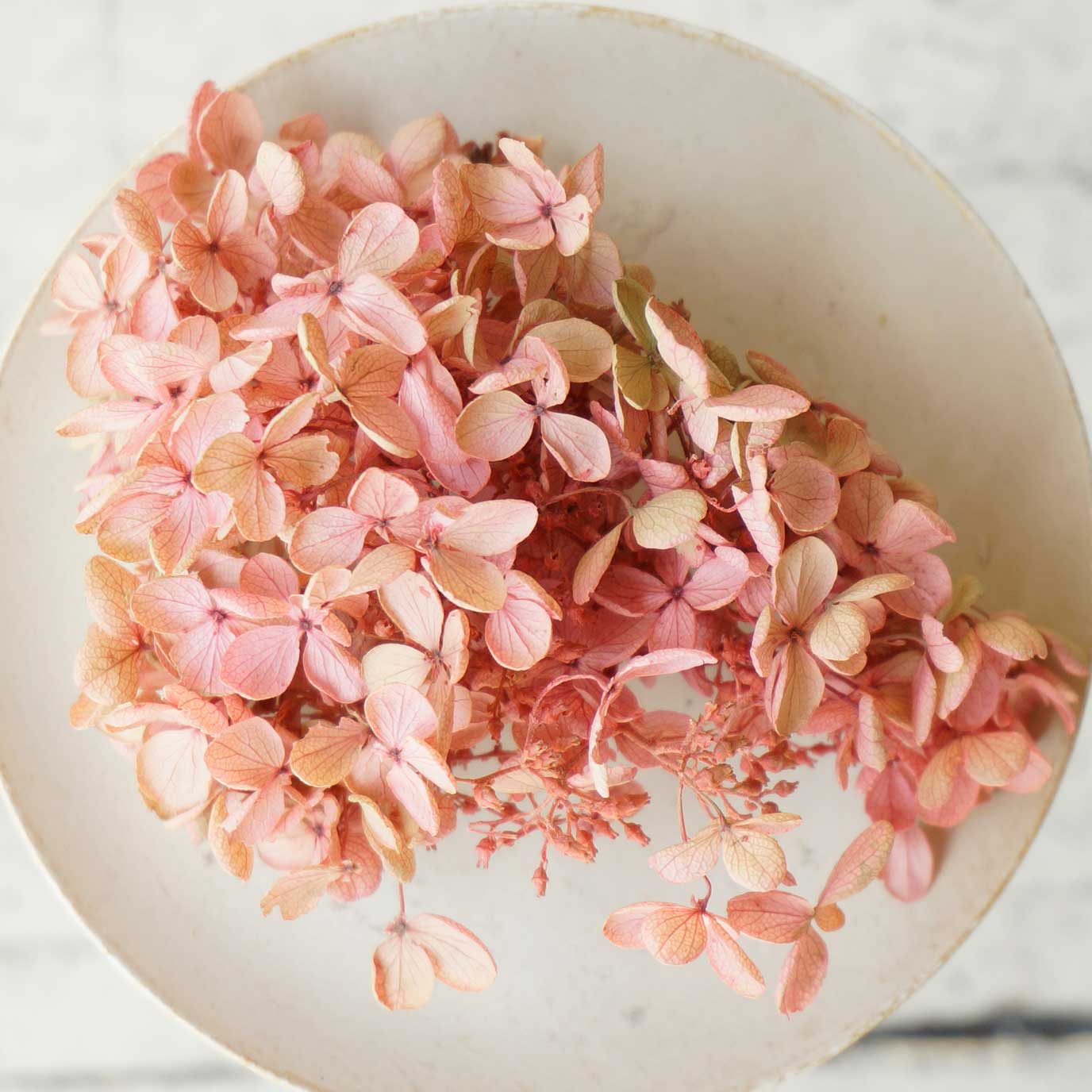 եȥԥߥåɥإåɡ3ڥɥ饤ե ޥåɥѡ