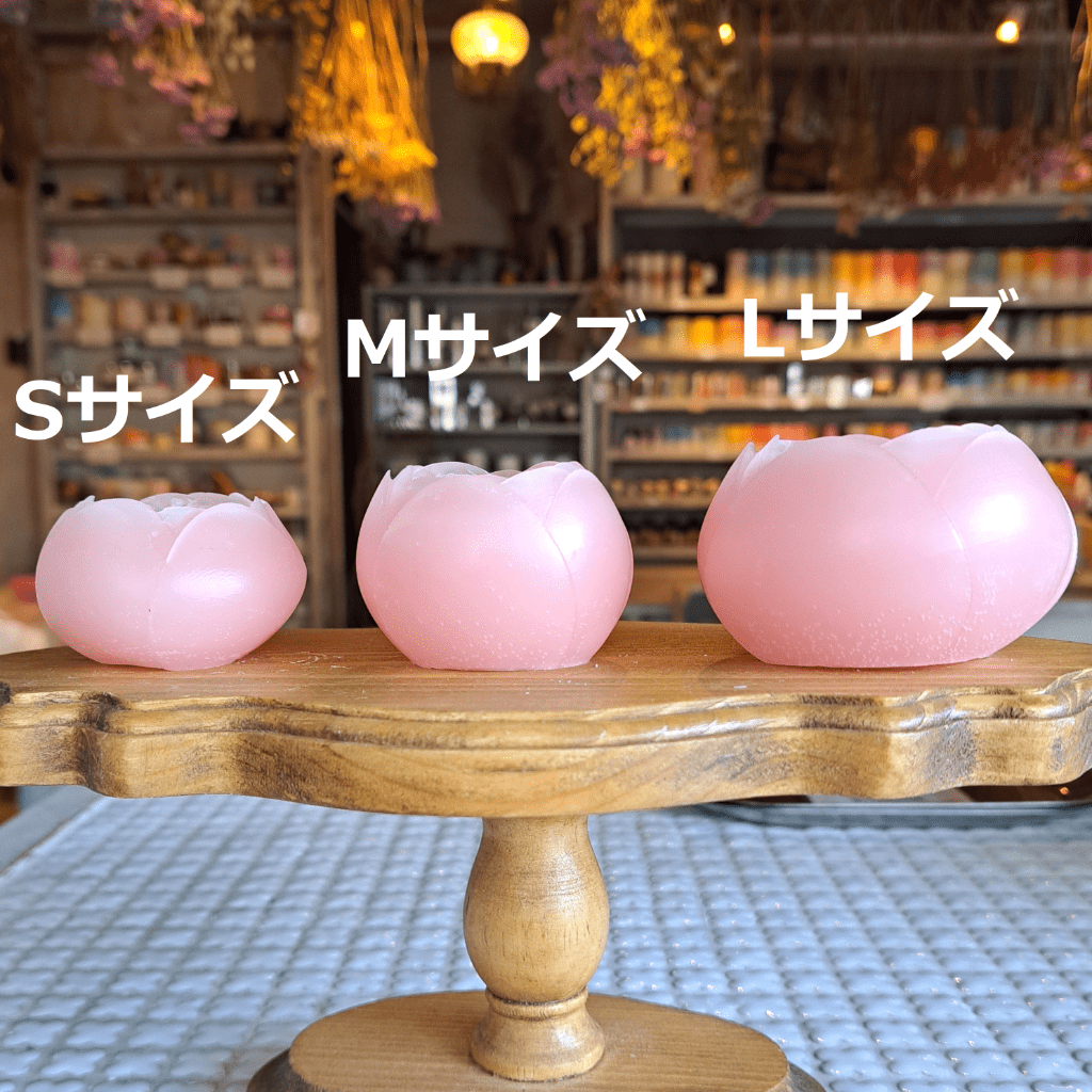 ���ꥳ��⡼��ɡ��ե�D