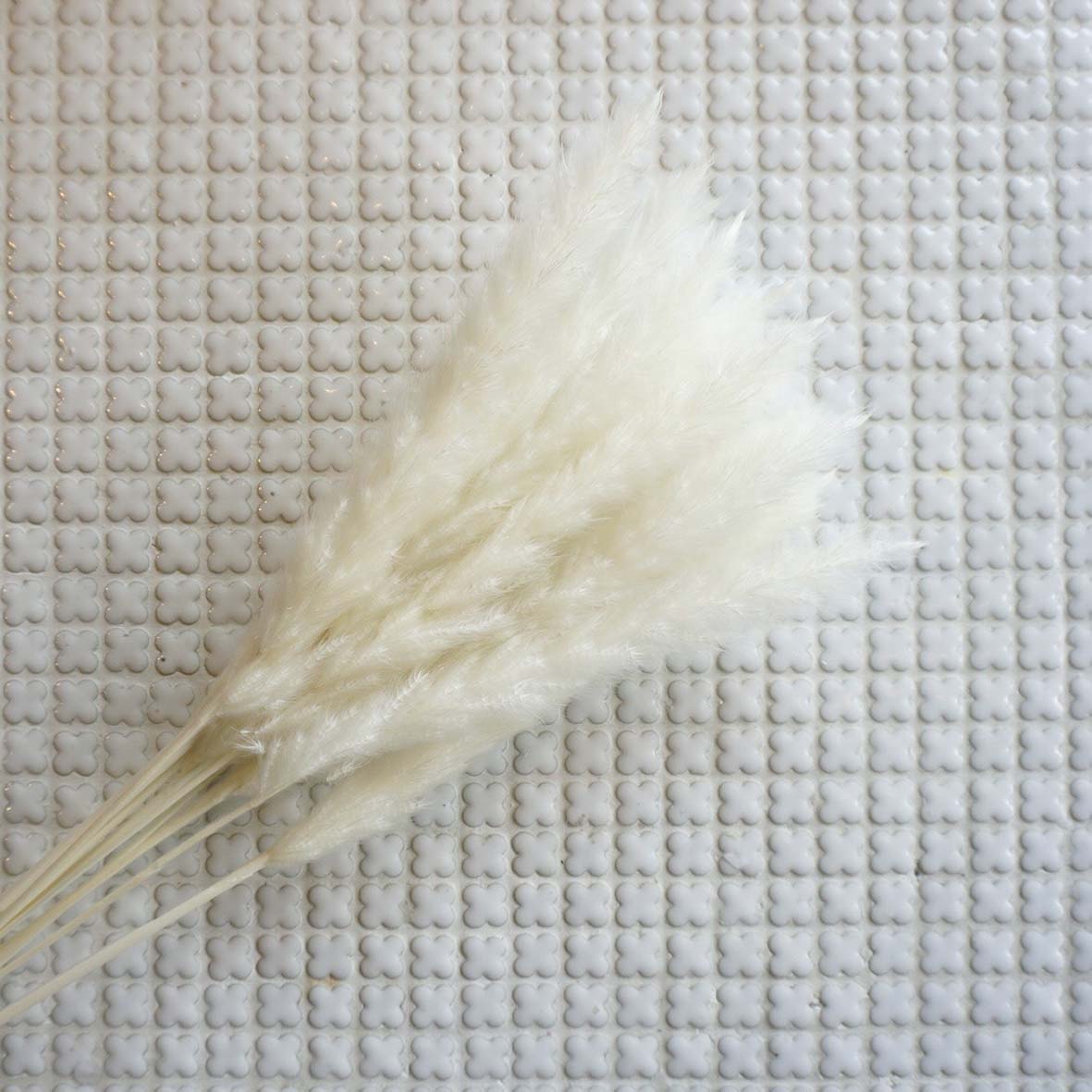 ơ꡼ɥߥ 4ڥץꥶ֥ɥե ޥå ɥѡ