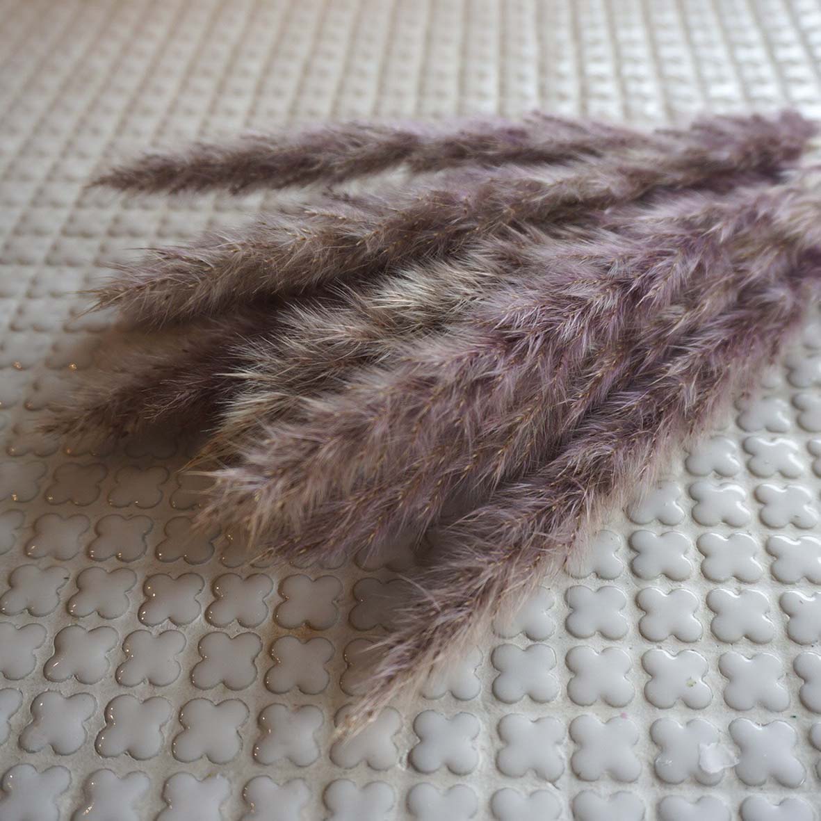 ơ꡼ɥߥ 4ڥץꥶ֥ɥե ޥå ɥѡ