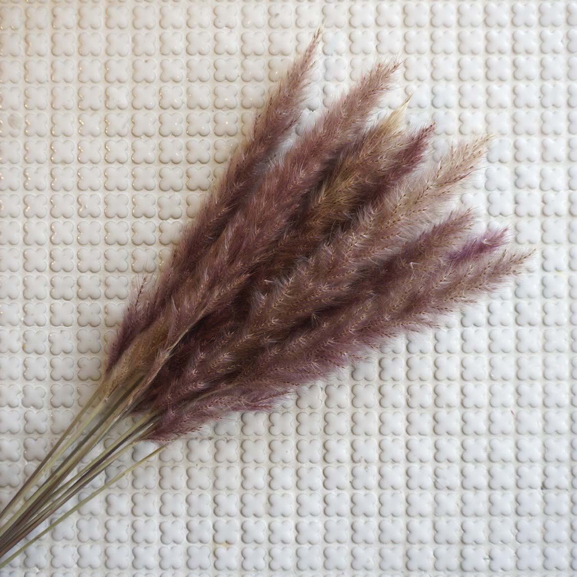 ơ꡼ɥߥ 4ڥץꥶ֥ɥե ޥå ɥѡ