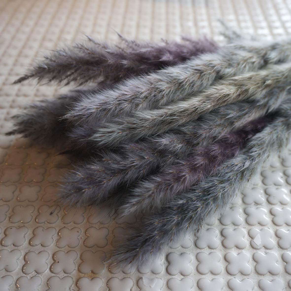 ơ꡼ɥߥ 4ڥץꥶ֥ɥե ޥå ɥѡ