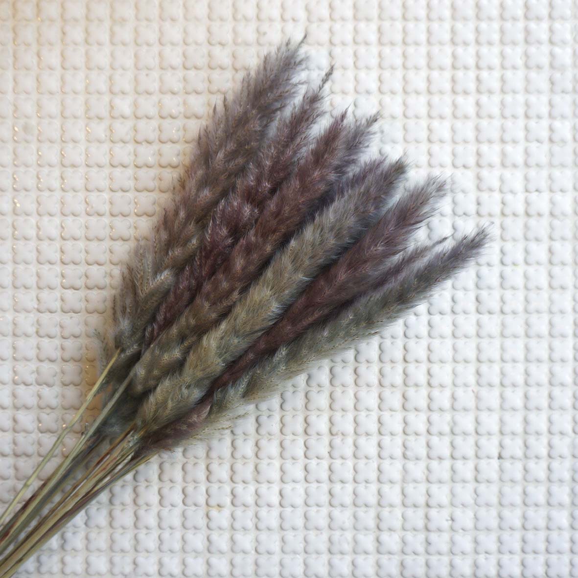 ơ꡼ɥߥ 4ڥץꥶ֥ɥե ޥå ɥѡ