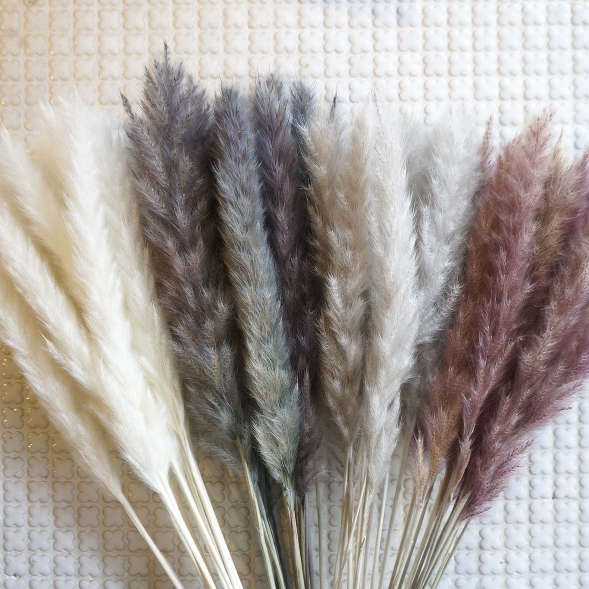 ơ꡼ɥߥ 4ڥץꥶ֥ɥե ޥå ɥѡ