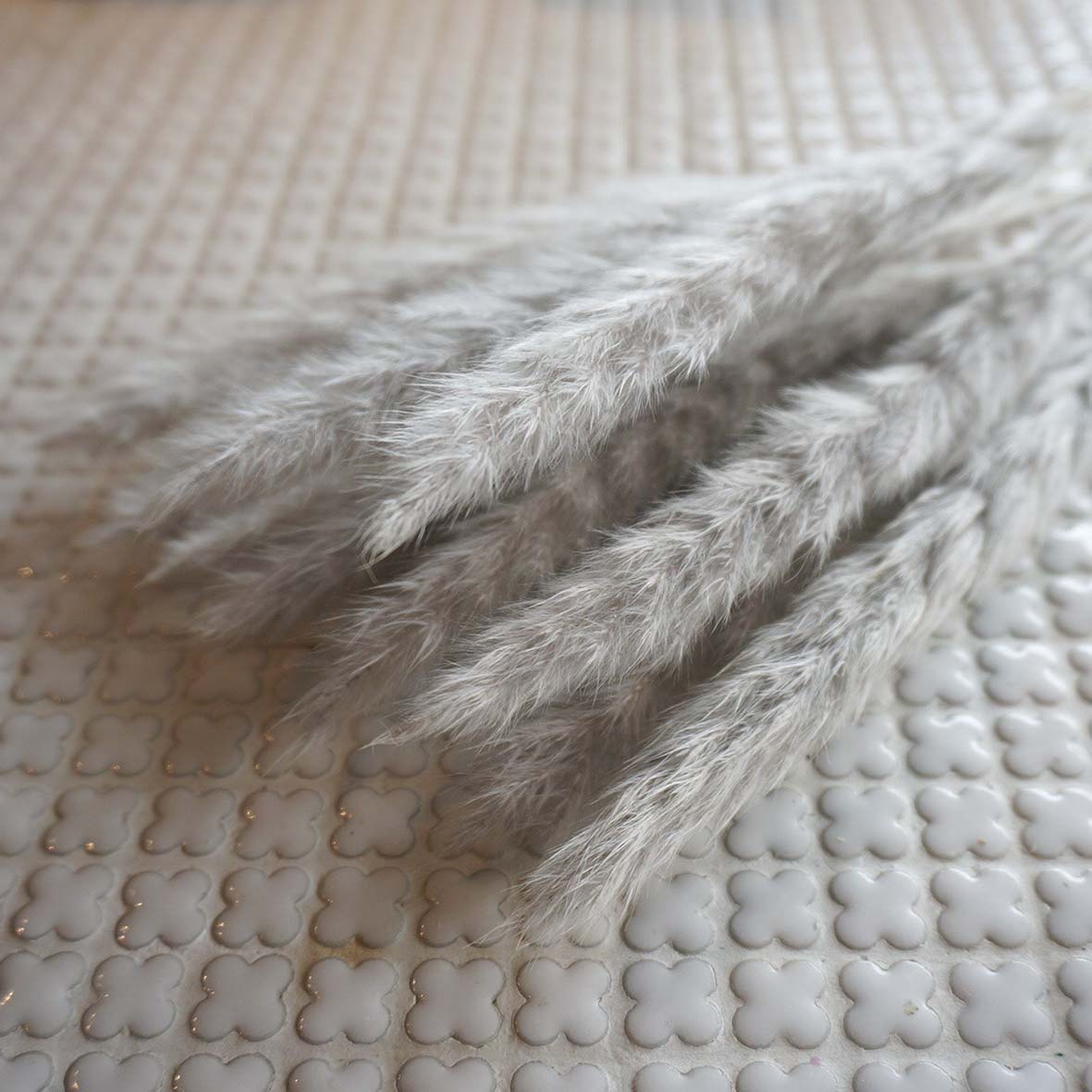 ơ꡼ɥߥ 4ڥץꥶ֥ɥե ޥå ɥѡ