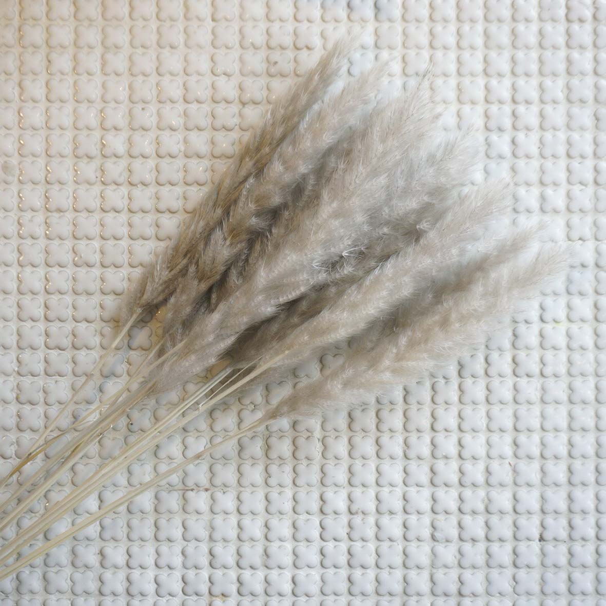 ơ꡼ɥߥ 4ڥץꥶ֥ɥե ޥå ɥѡ