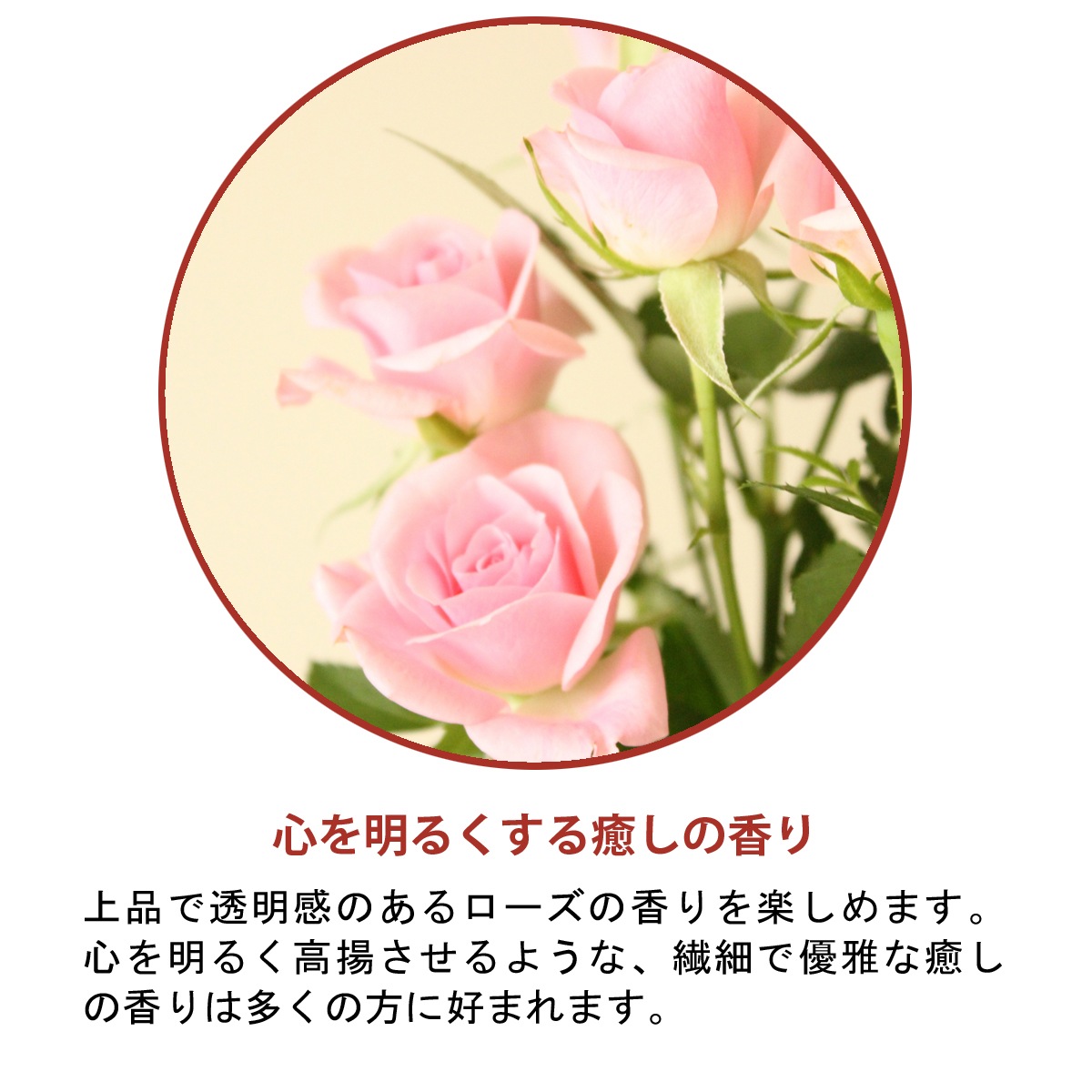�ڥ����ɥ��ѡ��񻺡ۥ����ޥ����롡������/Rose��30ml:100ml��