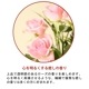�ڥ����ɥ��ѡ��񻺡ۥ����ޥ����롡������/Rose��30ml:100ml��