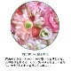 �ڥ����ɥ��ѡ��ե�󥹻��ۥ����ޥ����롡���ޥ�ƥ��å������ǥ�/Romantic Garden��30ml:100ml��