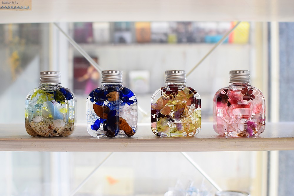 ˥ϡХꥦܥȥ 19() 1ܡ6ܡ12()