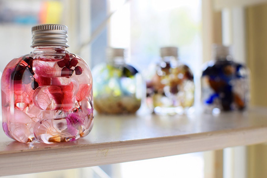 ˥ϡХꥦܥȥ 19() 1ܡ6ܡ12()