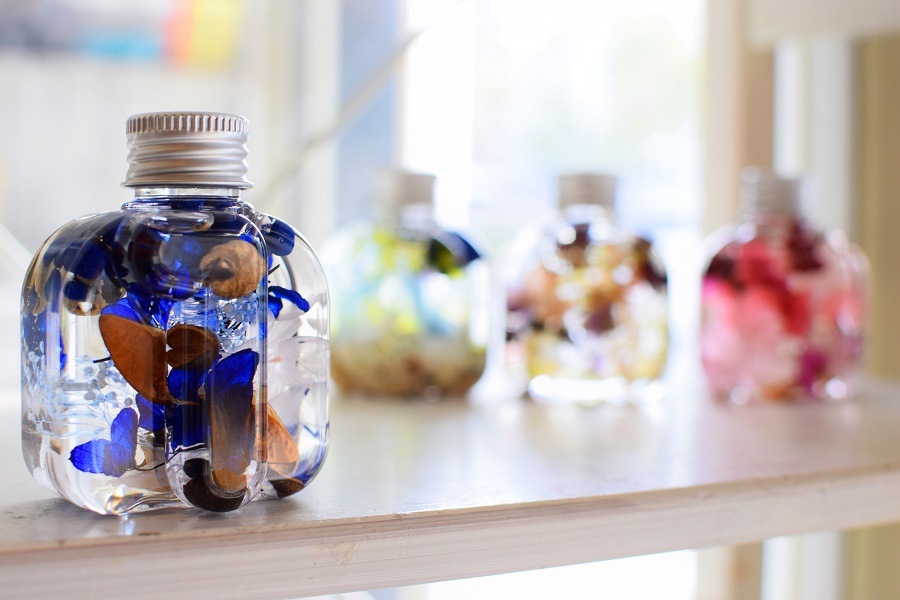 ˥ϡХꥦܥȥ 19() 1ܡ6ܡ12()