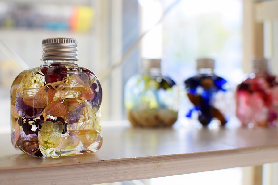 ˥ϡХꥦܥȥ 19() 1ܡ6ܡ12()