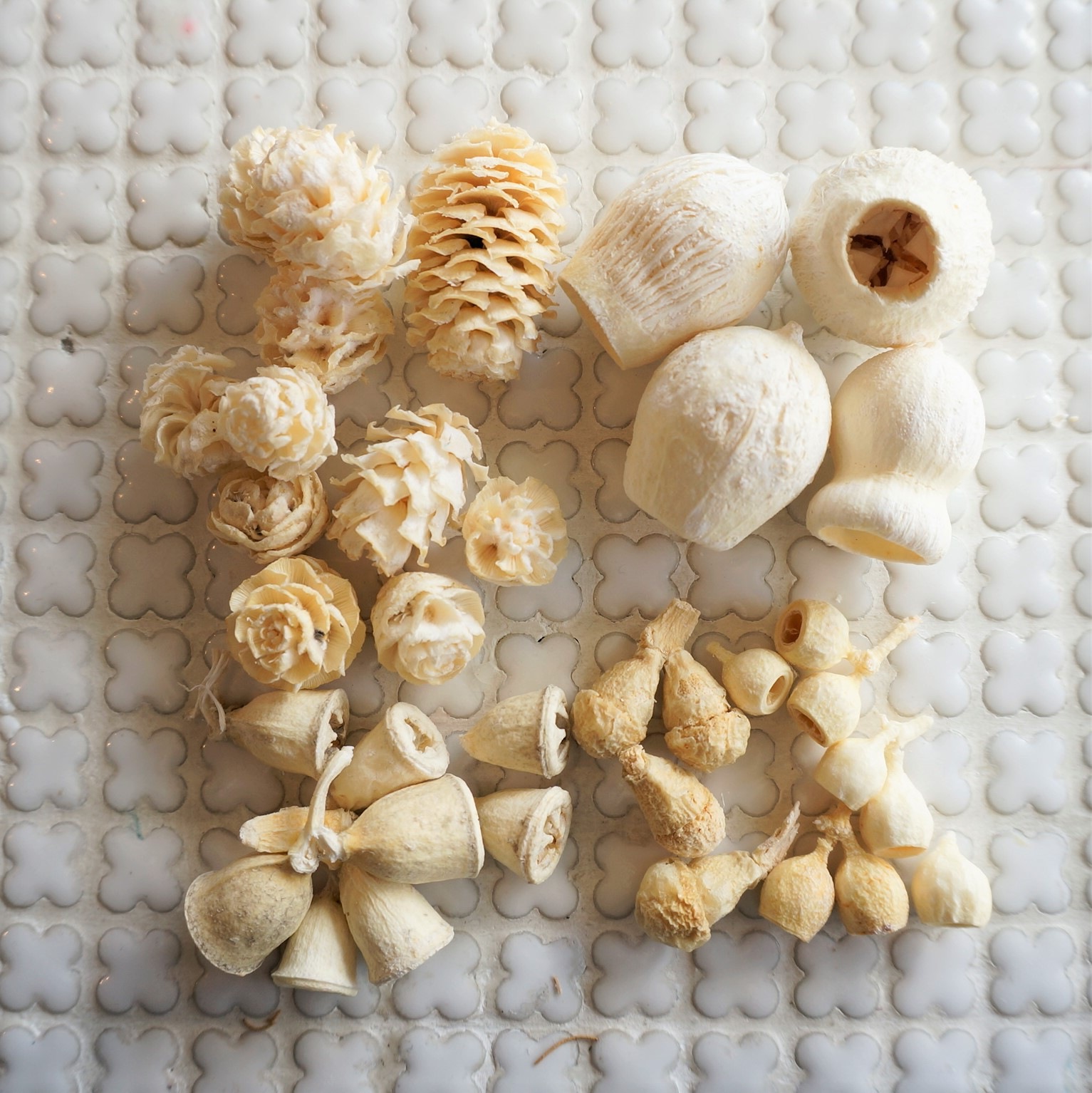 ߥåʥåġڥɥ饤ե롼ġɥ饤ѥ ޥåɥѡ