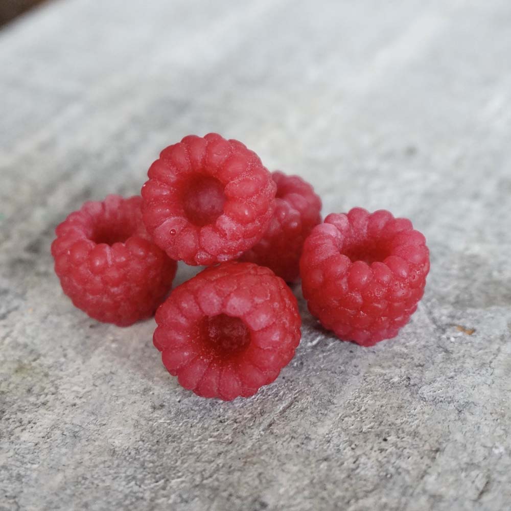 ���ꥳ��⡼��ɡ��ե��ܥ��