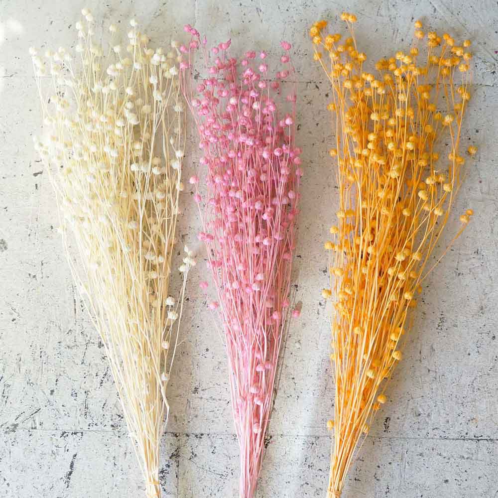 եۥ磻ȡڥɥ饤ե ޥåɥѡ