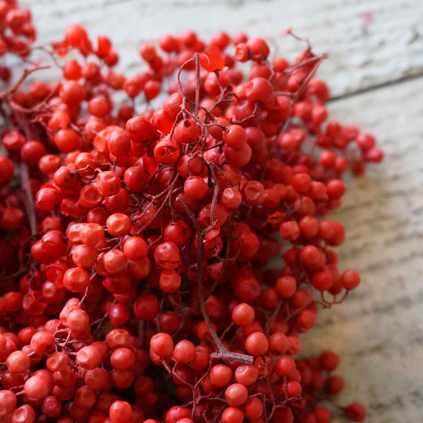 ڥåѡ٥꡼ץꥶ֥ɡ7ڥɥ饤ե ޥåɥѡ