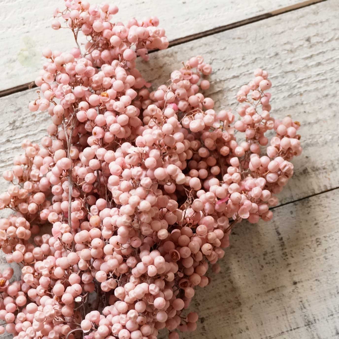 ڥåѡ٥꡼ץꥶ֥ɡ7ڥɥ饤ե ޥåɥѡ