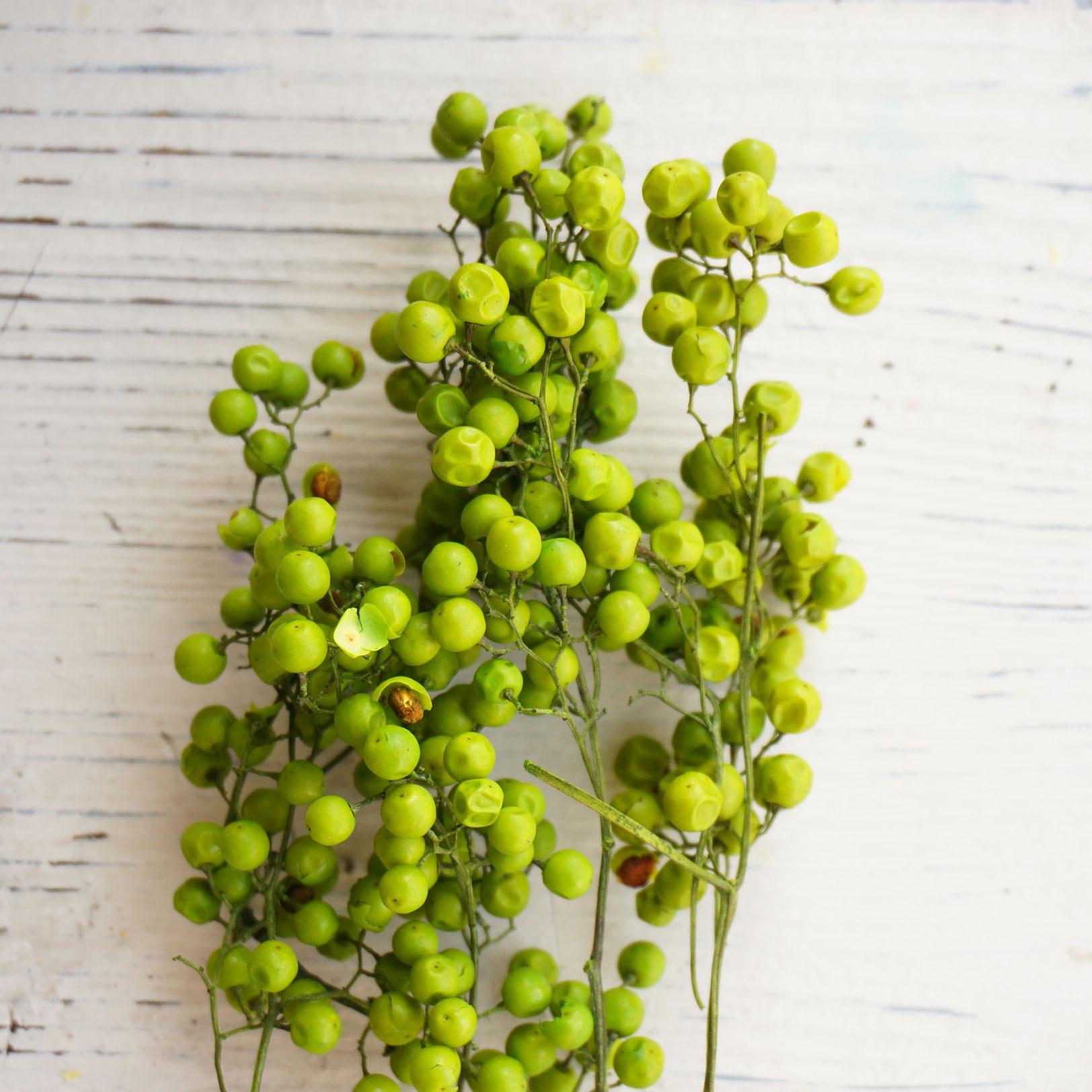 ڥåѡ٥꡼ץꥶ֥ɡ7ڥɥ饤ե ޥåɥѡ