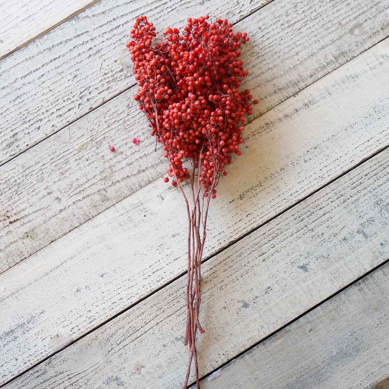 ڥåѡ٥꡼ץꥶ֥ɡ7ڥɥ饤ե ޥåɥѡ