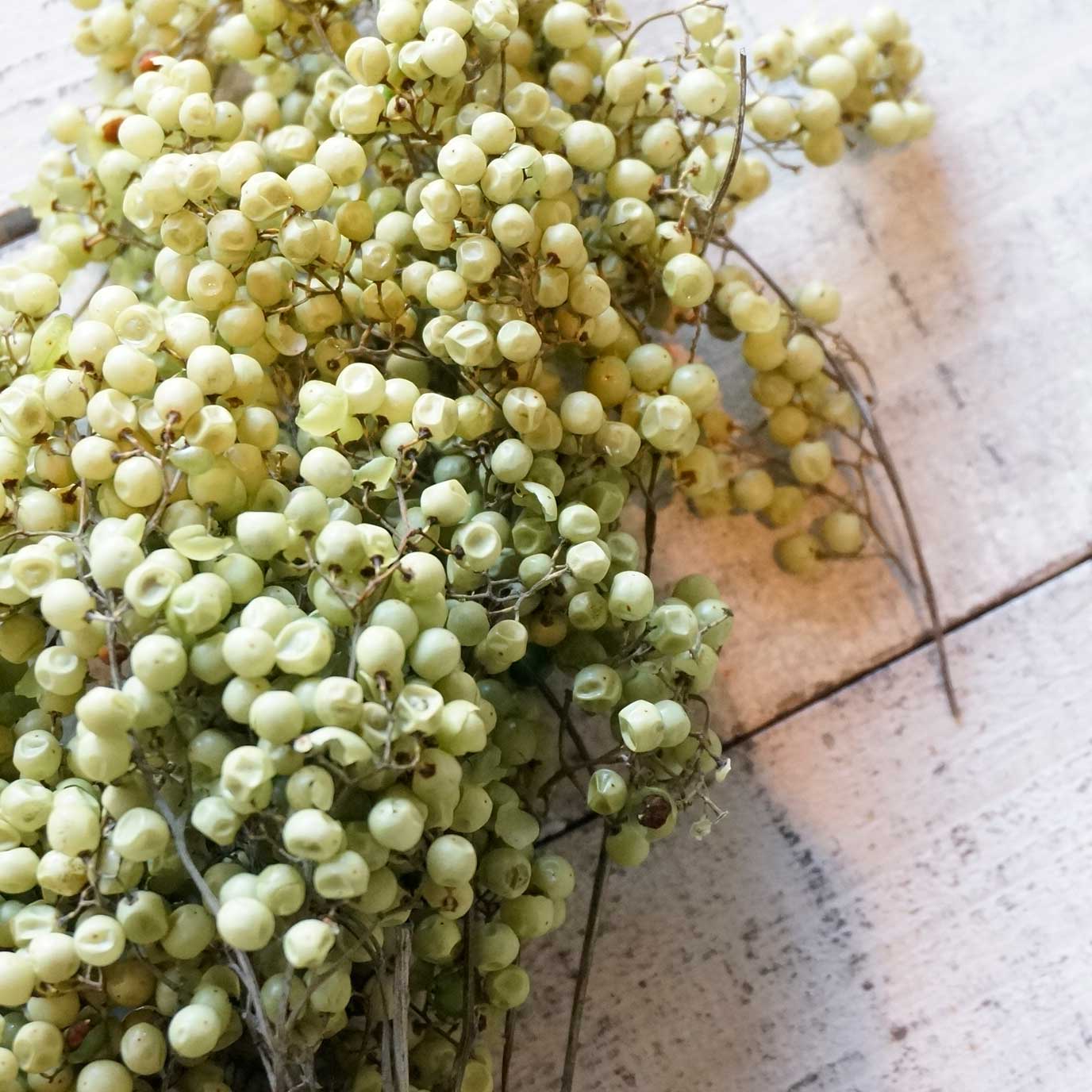 ڥåѡ٥꡼ץꥶ֥ɡ7ڥɥ饤ե ޥåɥѡ