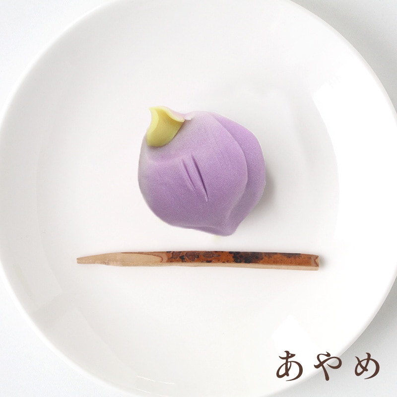 4月の上生菓子 20個セット