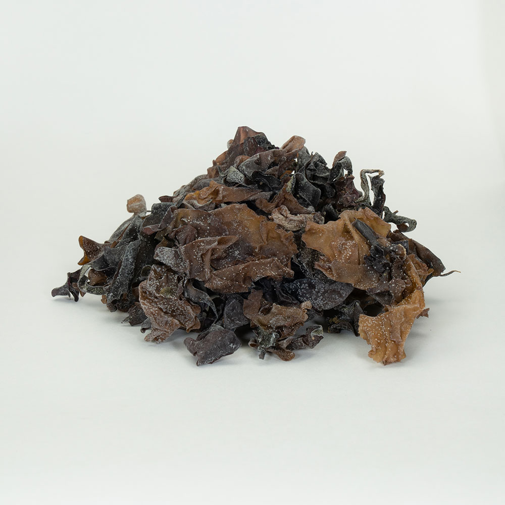 �����μ����ѿ椭�Ҹ��� ���ն����