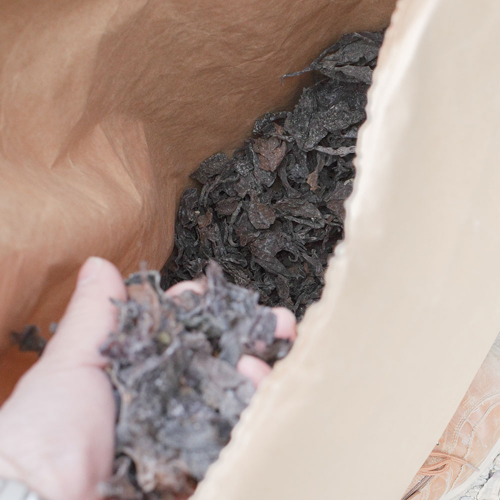 �����μ����ѿ椭�Ҹ��� ���ն����