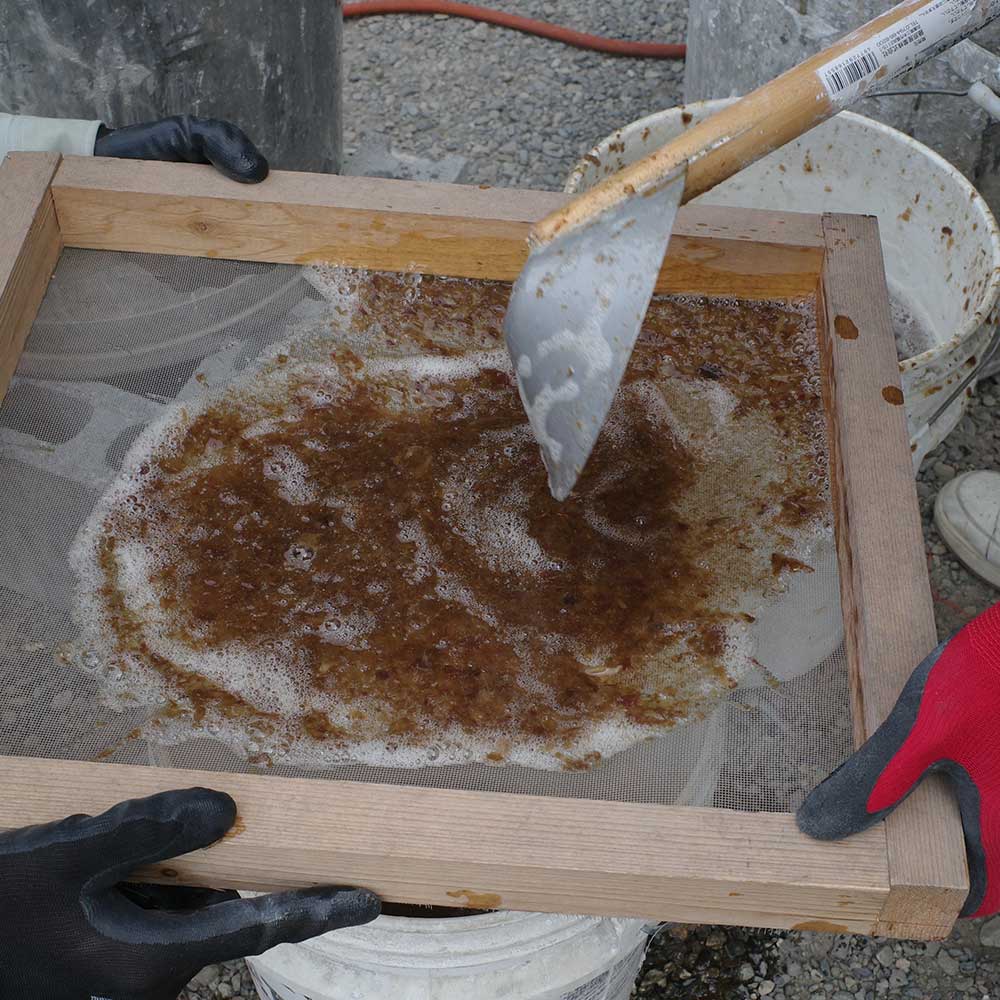 �����μ����ѿ椭�Ҹ��� ���ն����