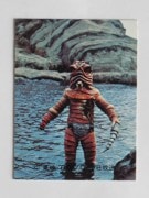 110 �쥫��ӡ����̥饤���������� No.110 TS������