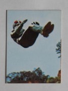 045 �쥫��ӡ����̥饤���������� No.45 �����å���������