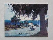 242 No.242 YR11������