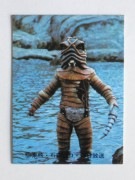 110 �쥫��ӡ����̥饤���������� No.110 ����ī��������