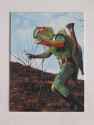 カルビー仮面ライダー、新カード、V3全170越え カルビー仮面ライダー、新カード、V3全170越え