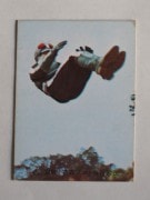 045 �쥫��ӡ����̥饤���������� No.45 �����å�������