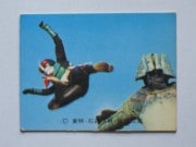 081 �쥫��ӡ����̥饤���������� No.81 �����å����¾���