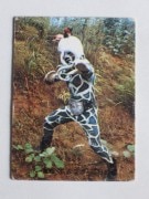 032 �쥫��ӡ����̥饤���������� No.32 �����å������ʡ��ָ��פΥ��ͭ��